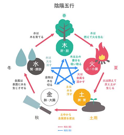 風 五行|五行思想